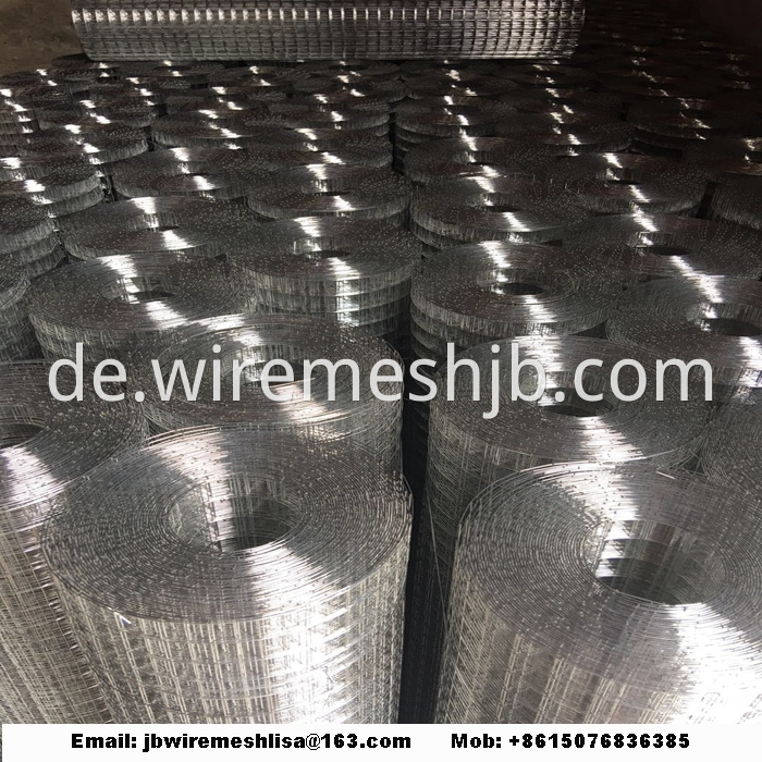 Welded Wire Mesh Galvanized Welded Wire Mesh Roll